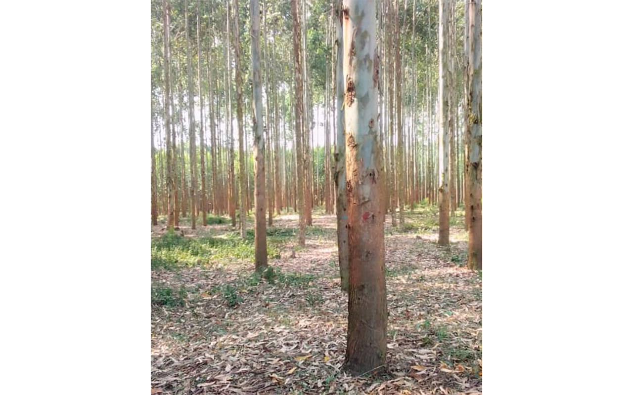 WhatsApp Image 2023-06-27 at 10.03.41 AM.png